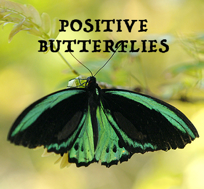 Positive Butterflies - Positive Thinking Network - Positive Thinking Doctor - David J. Abbott M.D.