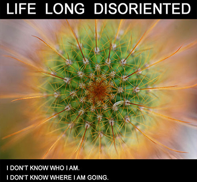 Life Long Disoriented - Positive Thinking Network - David J. Abbott M.D.